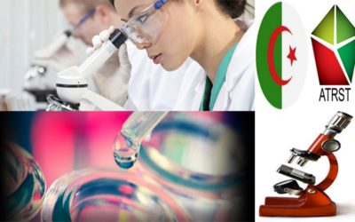 Identification de problématiques de recherche des entreprises algériennes