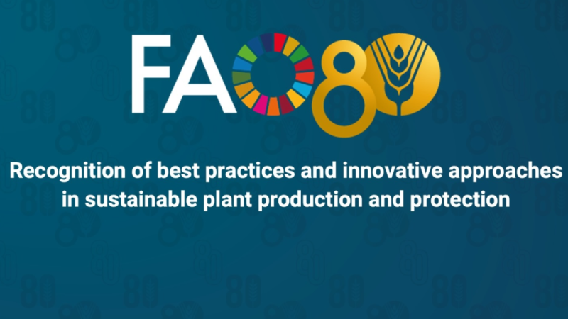 Appel à candidatures de la FAO : Célébration de 80 ans d’excellence en production et protection des végétaux